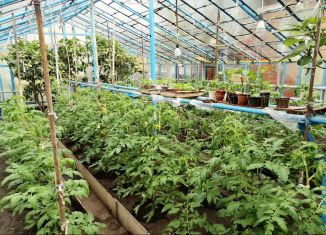 Продам дом, 50.9 м2, посёлок городского типа Заводской, Центральная улица