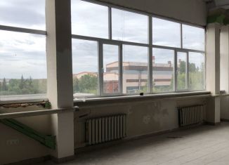 Сдам в аренду помещение свободного назначения, 100 м2, Пенза, улица Германа Титова, 1, район Заводской