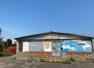 Продажа помещения свободного назначения, 240 м2, Мичуринск, улица Мира, 3А