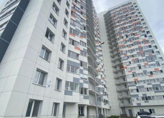 Сдается в аренду квартира студия, 24 м2, Пермь, Автозаводская улица, ЖК Вариант