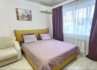 Аренда 2-комнатной квартиры, 45 м2, Геленджик, улица Волнухина, 18