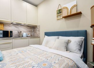 Сдаю в аренду квартиру студию, 17 м2, Сочи, Ясногорская улица, 16/2к7