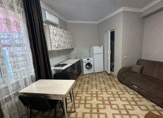 Сдам в аренду квартиру студию, 21 м2, Сочи, улица О. Кошевого, 79, микрорайон Соболевка