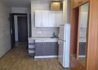 Сдача в аренду квартиры студии, 25 м2, Новоалтайск, Прудская улица, 40