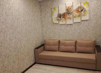 Квартира в аренду студия, 30 м2, Сочи, улица Мичурина, 20, микрорайон Завокзальный