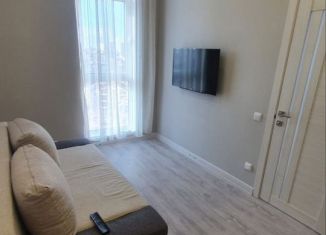 Сдам в аренду 1-ком. квартиру, 31 м2, Сочи, Пятигорская улица, 72А, микрорайон Светлана