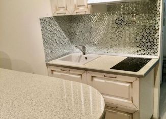 Аренда квартиры студии, 30 м2, Мурино, Привокзальная площадь, 3к1, ЖК Эланд