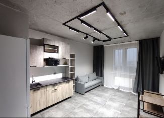 Сдача в аренду квартиры студии, 27 м2, деревня Афонино, Академическая улица, 16