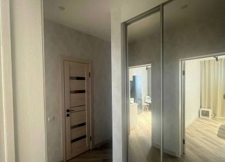 Сдача в аренду 1-ком. квартиры, 40 м2, Краснодар, Фабричная улица, 4, микрорайон Центральный