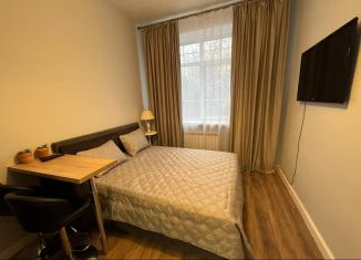 Сдается в аренду квартира студия, 20 м2, Москва, аллея Первой Маёвки, 15с1, ВАО