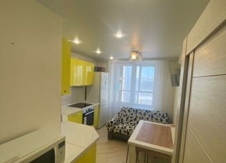 Сдаю 1-ком. квартиру, 35 м2, Мурино, проспект Авиаторов Балтики, 3к1, ЖК Девятый вал