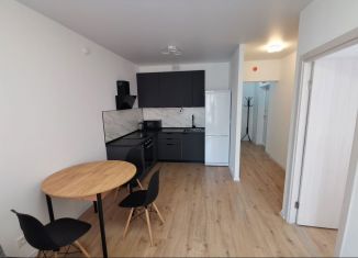 Сдам 1-комнатную квартиру, 40 м2, деревня Новое Девяткино, Главная улица, 8