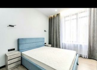 Сдается в аренду 1-комнатная квартира, 43.7 м2, Нижний Новгород, улица Тимирязева, 41