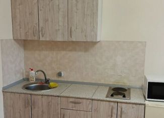 Аренда квартиры студии, 20 м2, Мурино, улица Шувалова, 19к1, ЖК Краски Лета