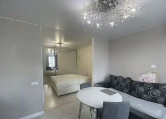 Сдается 1-комнатная квартира, 40 м2, Москва, 16-я Парковая улица, 19к2, ВАО