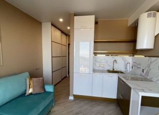 Сдача в аренду квартиры студии, 28 м2, Сочи, Курортный проспект, 96Гк2
