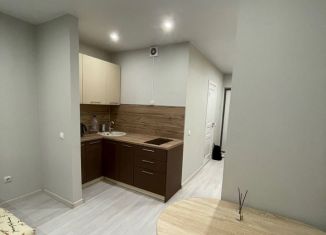 Квартира в аренду студия, 25 м2, Тюмень, улица Вице-адмирала Воронцова, 1
