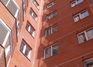 Сдаю в аренду 1-ком. квартиру, 34 м2, Пермь, улица Старцева, 143, ЖК Авиатор