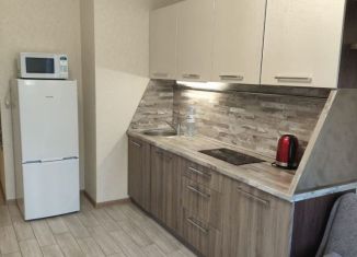 Квартира в аренду студия, 23.5 м2, Нижний Новгород, улица Героя Жидкова, 2