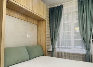 Сдам в аренду квартиру студию, 15.6 м2, Москва, аллея Первой Маёвки, 15с2, ВАО