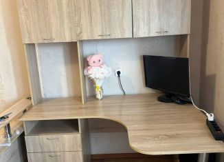 Сдается 1-ком. квартира, 26.5 м2, Пермь, улица Веры Засулич, 44, ЖК Самоцветы