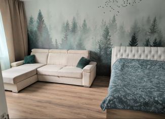 Сдам в аренду 1-ком. квартиру, 40 м2, Калининград, Белгородская улица, 5