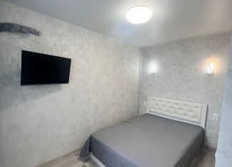 Сдаю квартиру студию, 30 м2, Тюмень, улица Республики, 204к5