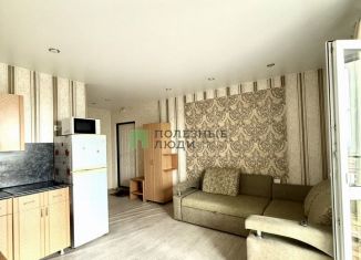 Сдается квартира студия, 23 м2, Курган, улица Рихарда Зорге, 7