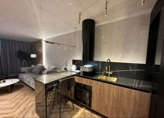 Сдаю в аренду 2-ком. квартиру, 50 м2, Сочи, Ясногорская улица, 16/8к3
