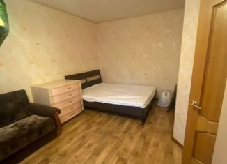 Сдам в аренду однокомнатную квартиру, 35 м2, Петергоф, Чебышёвская улица, 6/12