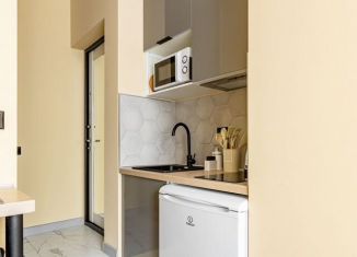 Сдается квартира студия, 20 м2, Москва, Берёзовая аллея, 19к3, СВАО