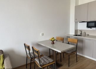 Сдам в аренду однокомнатную квартиру, 38 м2, Санкт-Петербург, Дальневосточный проспект, 25к1, ЖК Цивилизация