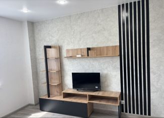 Сдам в аренду 1-комнатную квартиру, 32.1 м2, Псков, улица Ижорского Батальона, 41