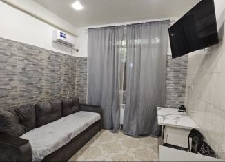 Сдается в аренду квартира студия, 20 м2, Сочи, Виноградная улица, 188А, микрорайон Донская