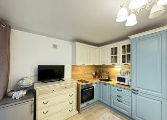 Квартира в аренду студия, 25 м2, Тюмень, улица Михаила Сперанского, 33/1, ЖК Видный