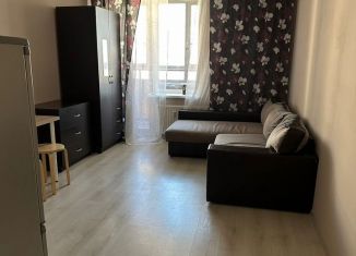 Сдам квартиру студию, 25 м2, Мурино, Охтинская аллея, 10к1, ЖК Девятый вал