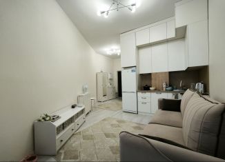 Аренда 1-ком. квартиры, 34.7 м2, Москва, Краснобогатырская улица, 31к1, ВАО