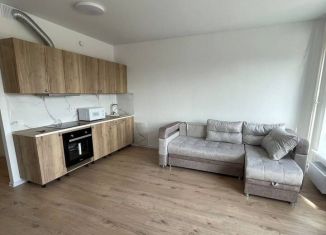 Сдается в аренду квартира студия, 25.1 м2, деревня Новое Девяткино, Главная улица, 8