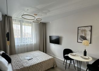 Сдается в аренду квартира студия, 21 м2, Сочи, Ясногорская улица, 16/2к7