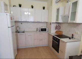 Сдача в аренду 1-комнатной квартиры, 45 м2, Санкт-Петербург, проспект Ветеранов, 169к3, муниципальный округ Сосновая Поляна