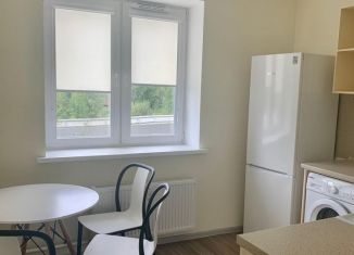 Сдается двухкомнатная квартира, 45.7 м2, посёлок Парголово, улица Шишкина