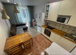 2-комнатная квартира в аренду, 56 м2, Люберцы, улица Камова, 8к1, ЖК Люберцы 2017