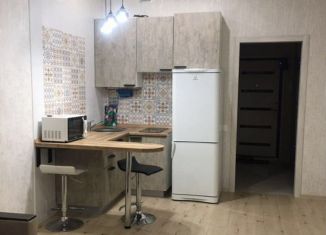 Сдается квартира студия, 28 м2, деревня Крёкшино, улица Медовая Долина, 4