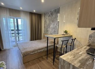 Сдается квартира студия, 28 м2, деревня Хотицы, Загородная улица, 8кБ