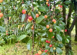 Продаю дом, 49.1 м2, Адыгея, улица Пушкина