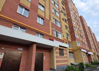 Сдам однокомнатную квартиру, 43 м2, Йошкар-Ола, улица Эшкинина, 25, микрорайон Центральный