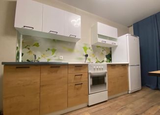 Сдается в аренду 1-комнатная квартира, 45 м2, Верхняя Пышма, улица Уральских Рабочих, 44Б