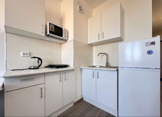 Сдам в аренду квартиру студию, 19 м2, посёлок Парголово, Заречная улица, 54