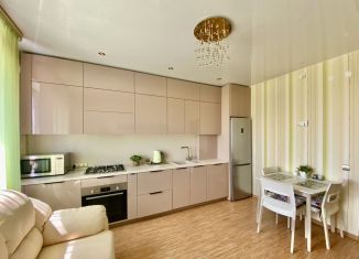 Сдаю 1-ком. квартиру, 45 м2, Калининград, улица Виктора Денисова, 12, ЖК Восток