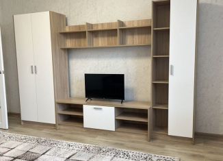 Сдается в аренду однокомнатная квартира, 42.3 м2, село Айша, жилой комплекс Зелёная Долина, 1